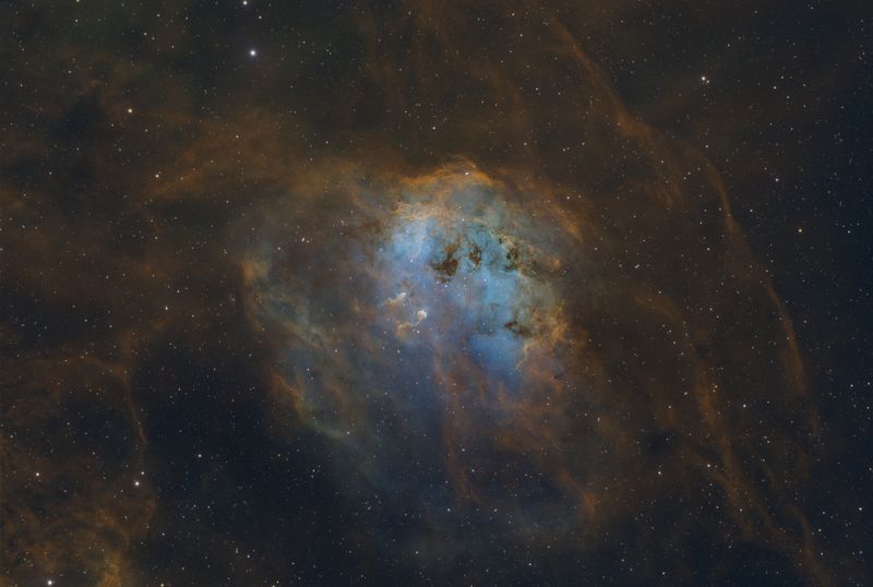 IC410 the Tadpoles Nebula