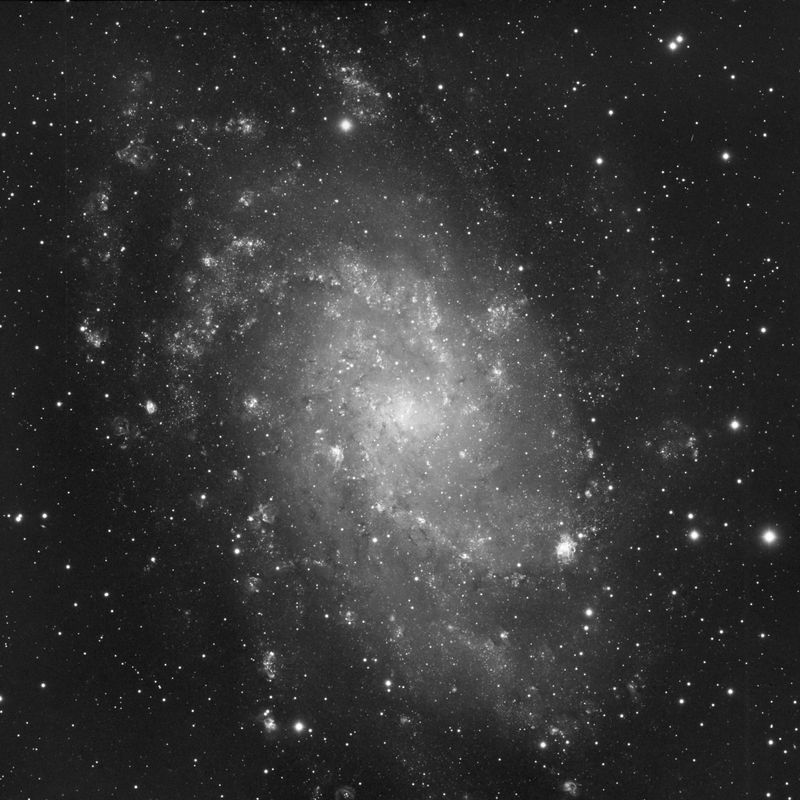 M33 Luminance and Ha data  reprocessed