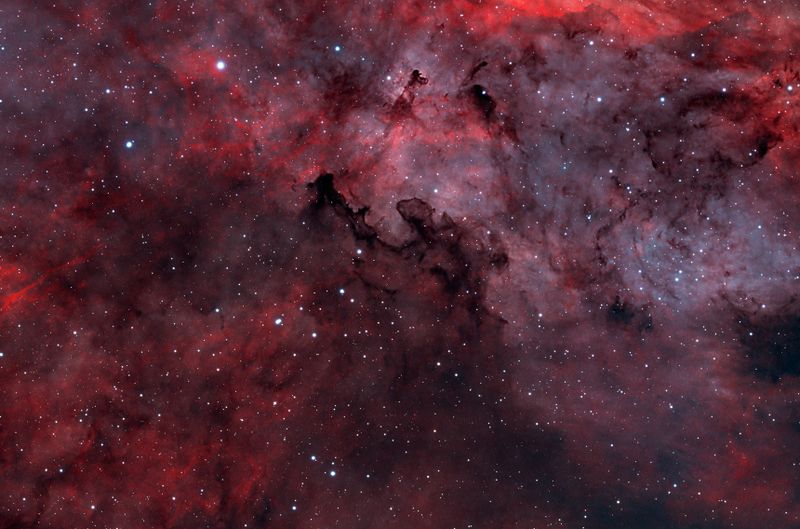 Barnard 344 Bi Color