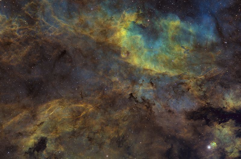 Barnard 344 area in Cygnus Hubble Palette SHO