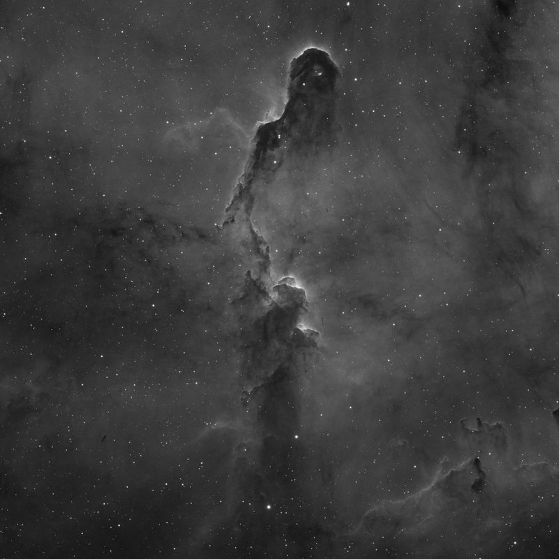Elephant Trunk Nebula in Ha crop