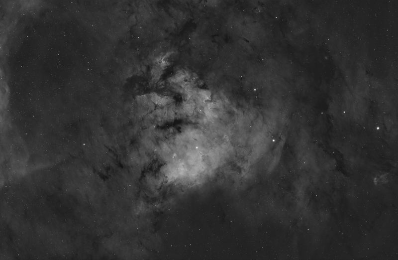 NGC 7822 Ha data