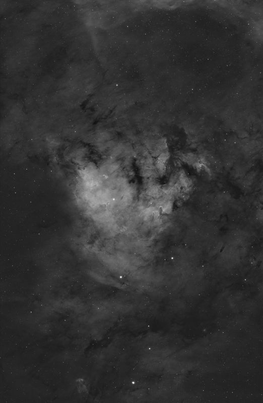 NGC 7822 Ha data