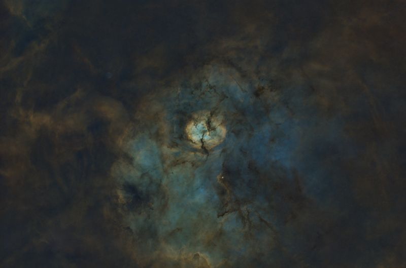 SH2-124 starless