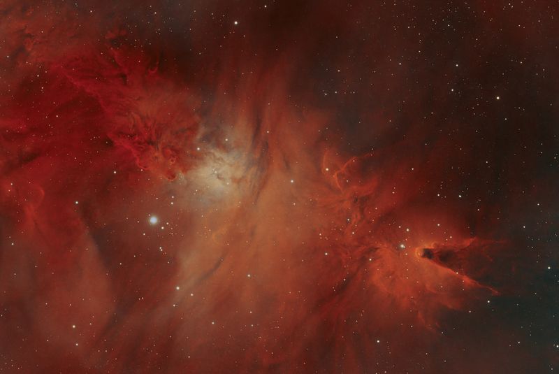 Cone Nebula and Foxfur Bicolor