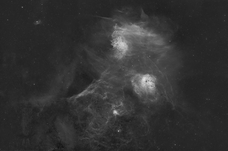 Flaming Star and Tadpoles Nebulae Ha