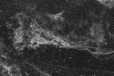 g13/50/724550/3/173908463.5d46c92b.JPEG