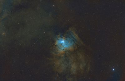 g13/50/724550/3/175062902.805df32a.JPEG