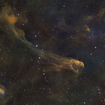 LBN 380 Rattlesnake crop