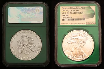 2015_P_Silver_Eagle_slabbed.jpg