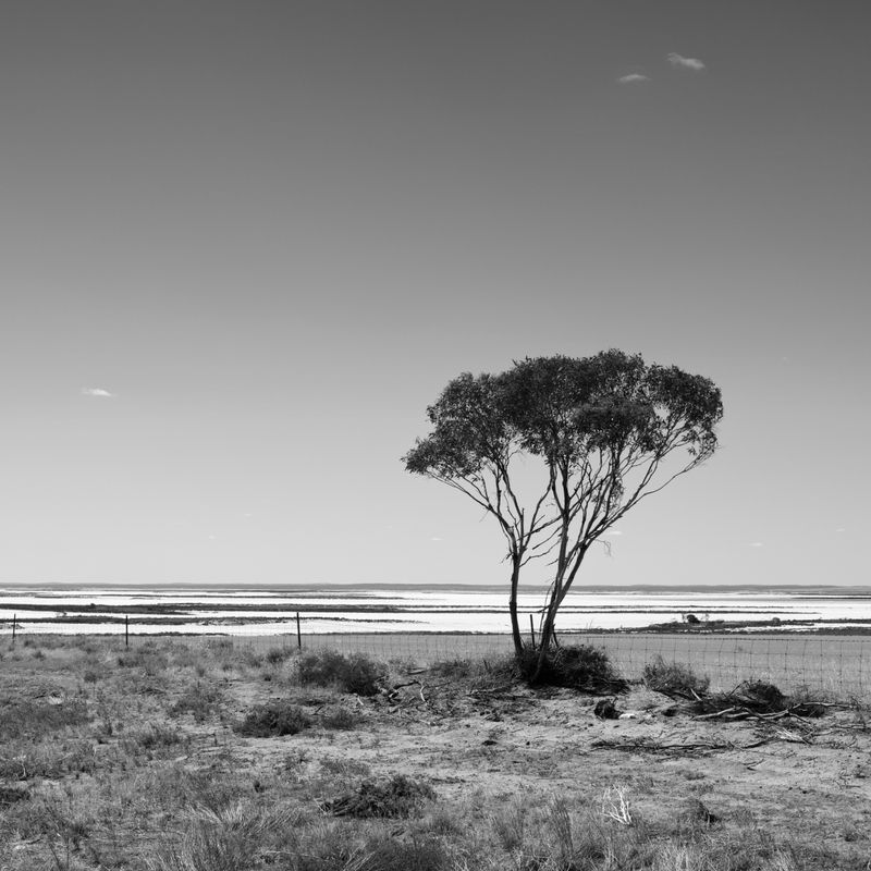 SDIM0200