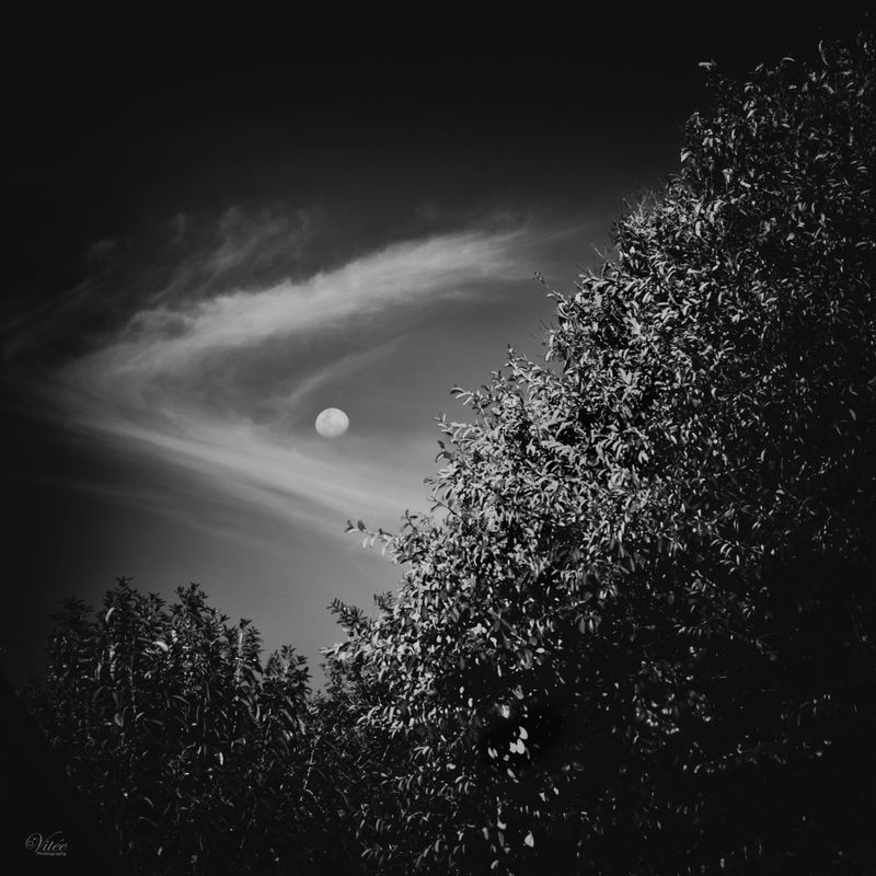 Favourite Monochrome Images