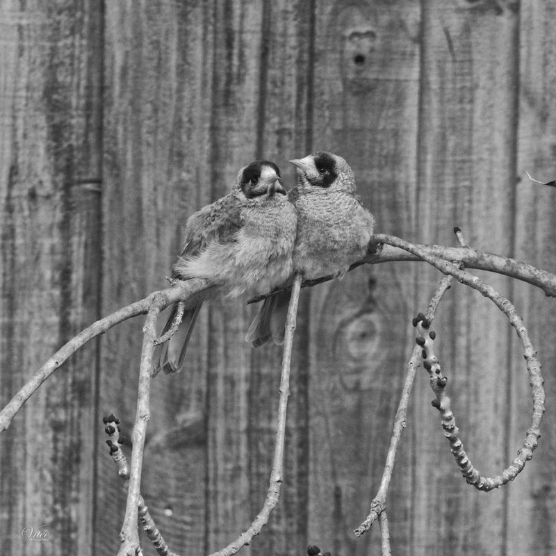 Favourite Monochrome Images