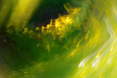 g13/50/793550/3/112610011.22428f6a.JPEG