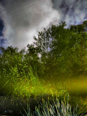 g13/50/793550/3/148067488.ed077350.JPEG
