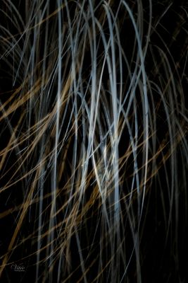 g13/50/793550/3/170533494.9f274824.JPEG