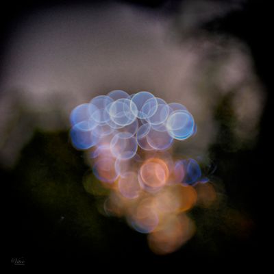 g13/50/793550/3/174304430.057d6a01.JPEG