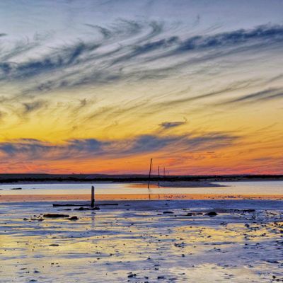 Lake Tyrrell and The Hattah-Kulkyne National Park - 2016