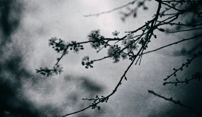 Favourite Monochrome Images