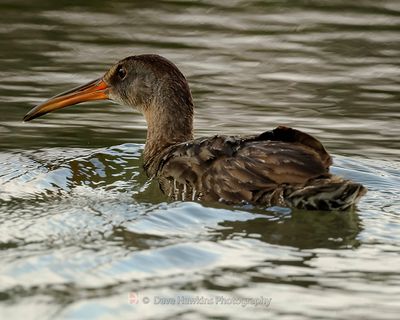 CLAPPER RAIL