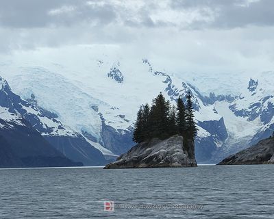 NORTHWESTERN GLACIER