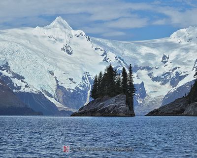 NORTHWESTERN GLACIER