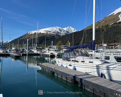 SEWARD HARBOR