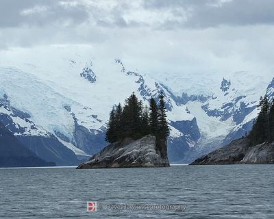 NORTHWESTERN GLACIER
