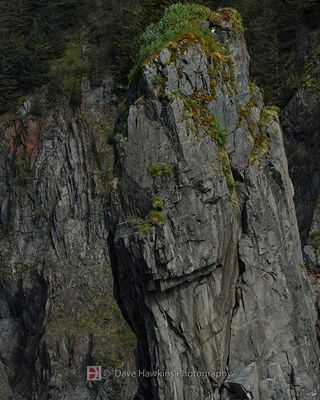 ALASKA