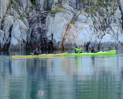 KAYAKERS near the NORTHWESTERN GLACIER