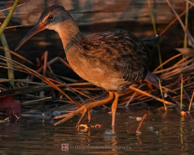 CLAPPER RAIL