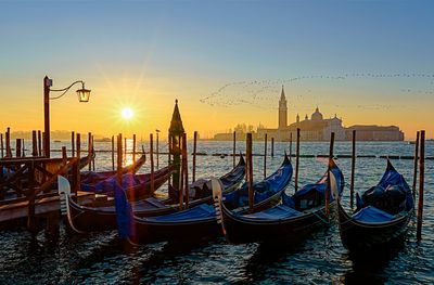 Featured Gallery