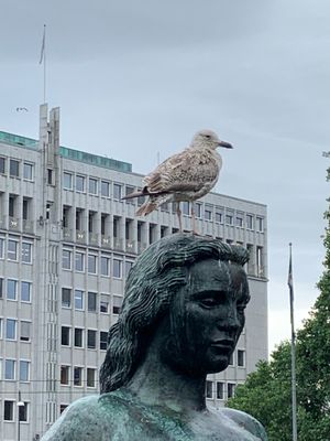 g13/50/8650/3/173274161.8b7c74f2.JPEG