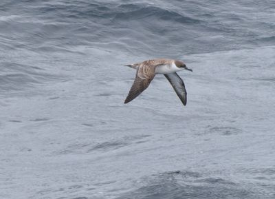 Biscay