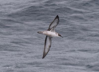 Biscay