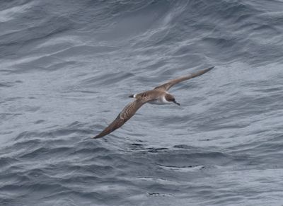 Biscay