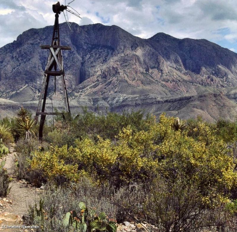 Big Bend National Park