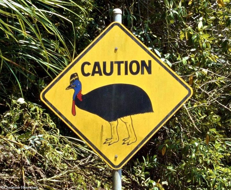 Cassowary crossing sign