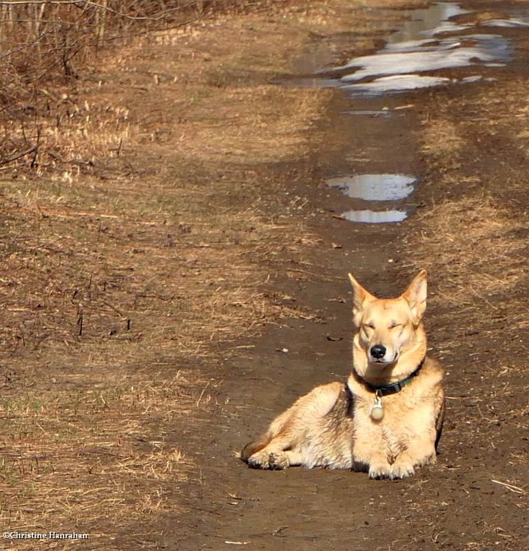 Taking a rest