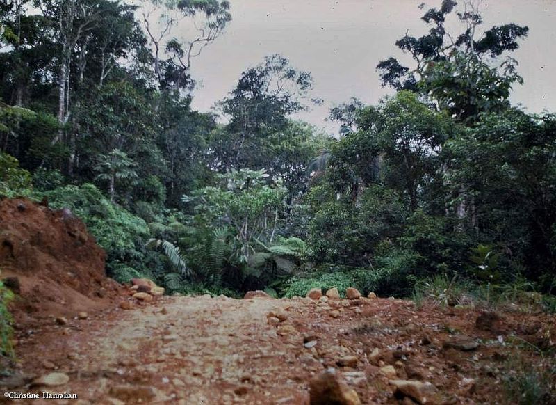 The road up the mountain