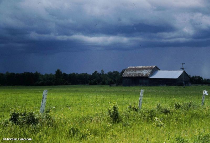 Storm brewing...