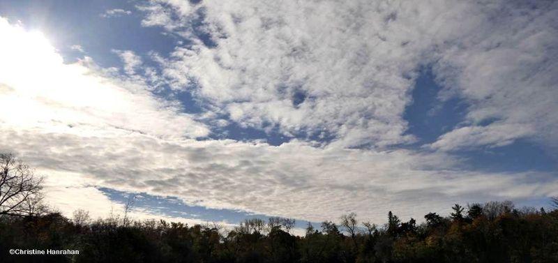 November sky over the dog park