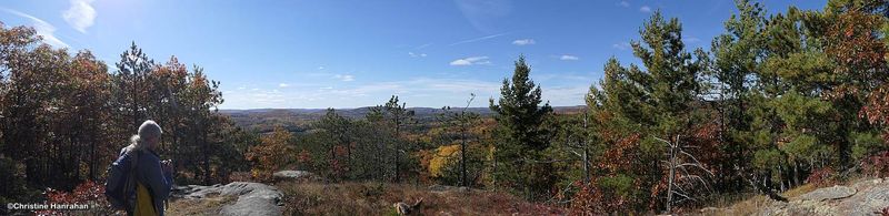 Looking out across the Madawaska region