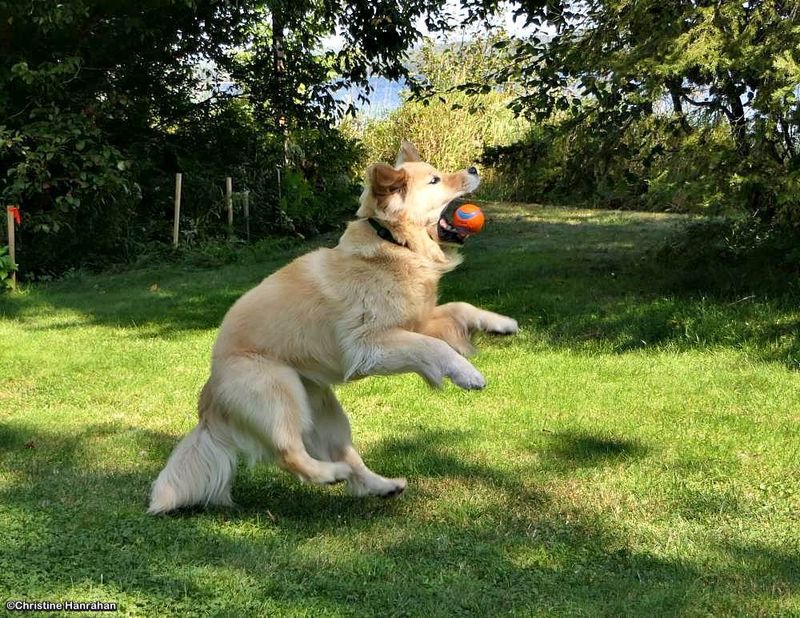 Catch!