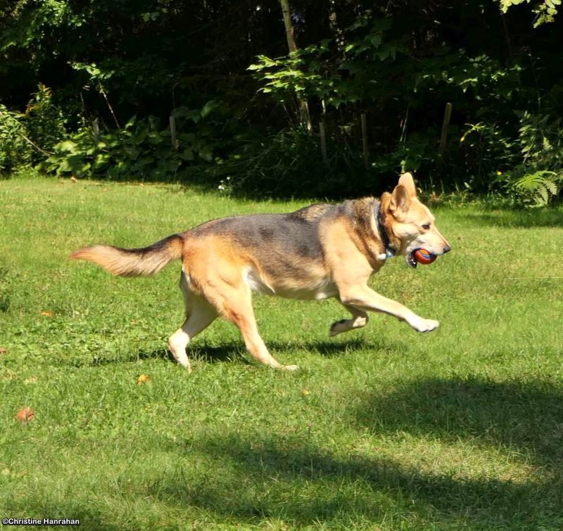 Run!