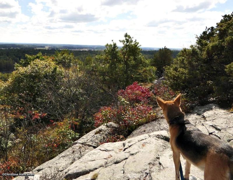 The lookout