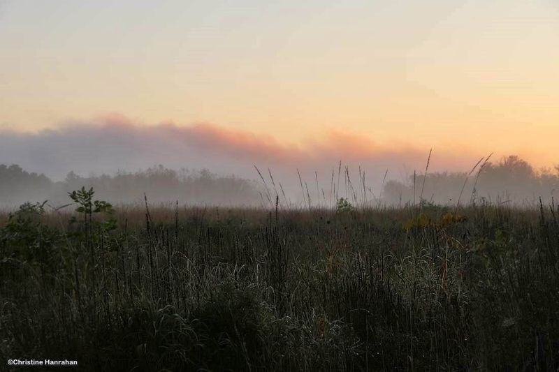 Early morning