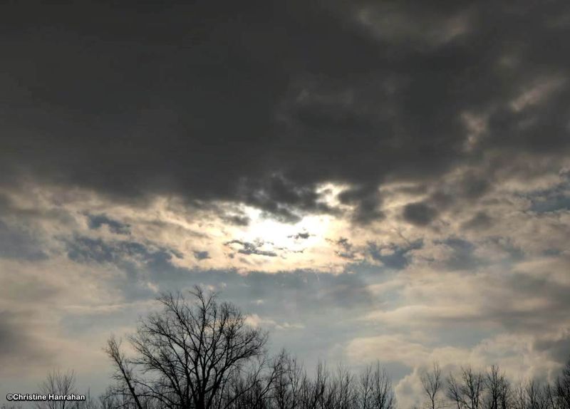 Goodbye sun, Hello rain