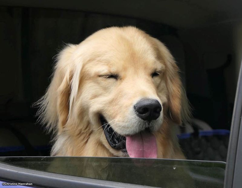 Blissed out