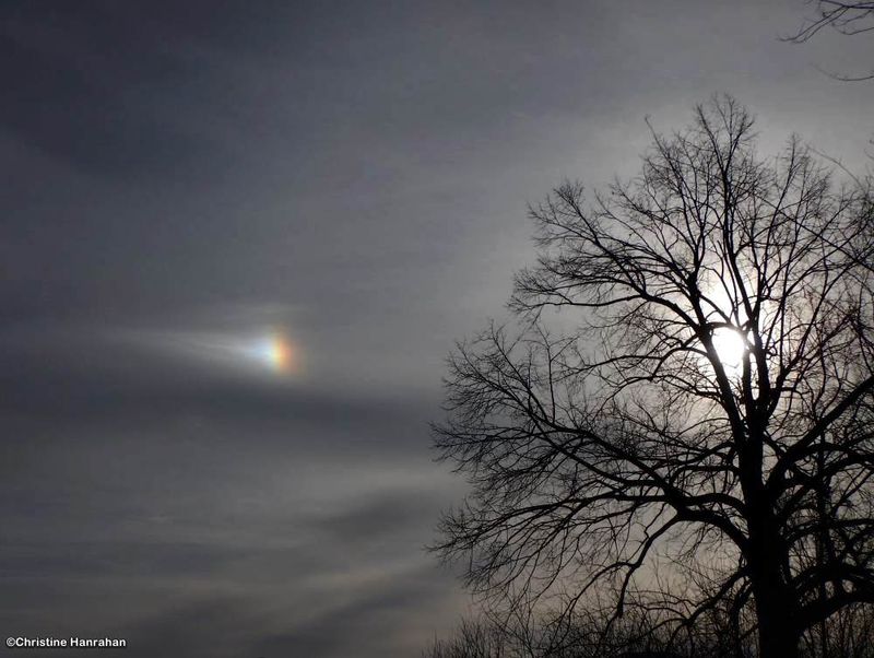 Sun dog